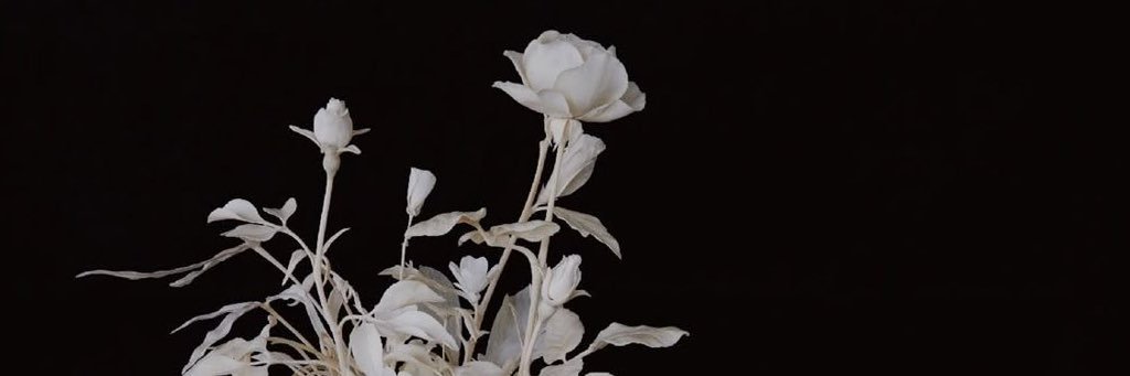 Lilly banner