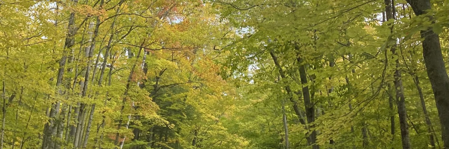 LifeLongLearner banner