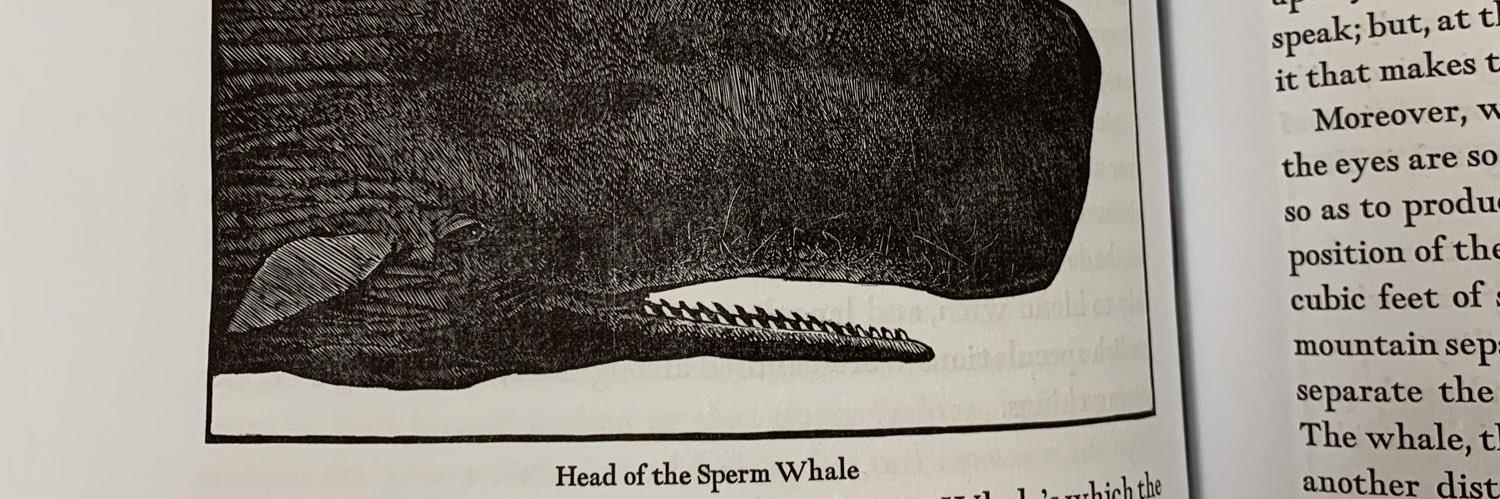 bbibliomancer banner