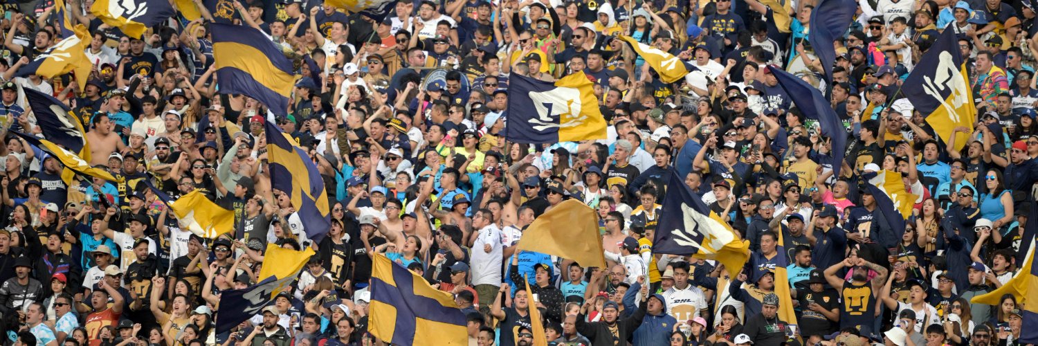 SlyAlmn's profile banner image