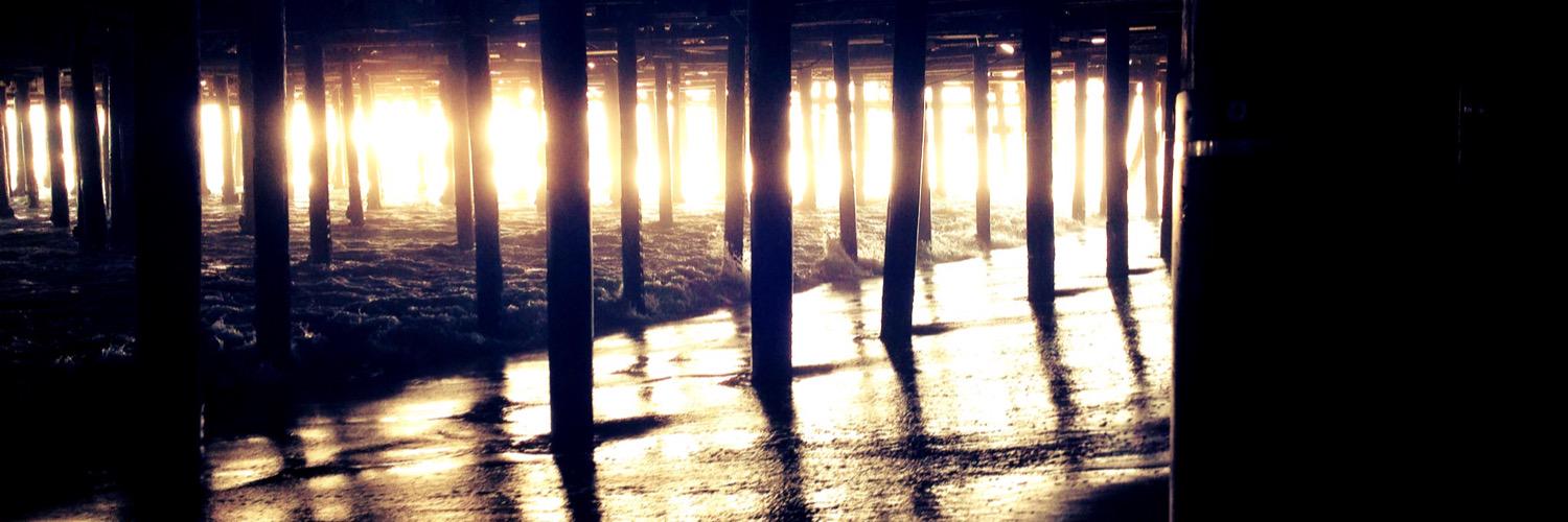 ParadisalCo's profile banner image