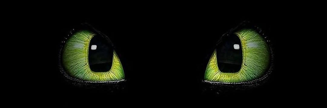 0John_020's profile banner image