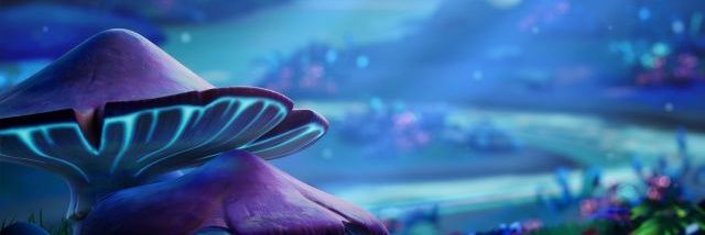 Xonki banner