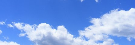 Jewish Zionist (i will followback)'s banner