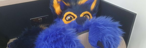 MuskStoleMyData Profile Banner