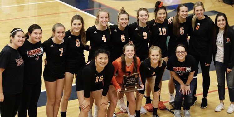 DallasDragonVB's profile banner image