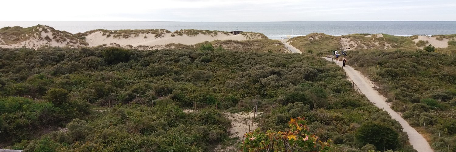 Marlies Kloppenburg banner