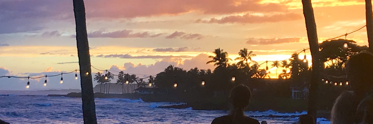 Megan Rice banner