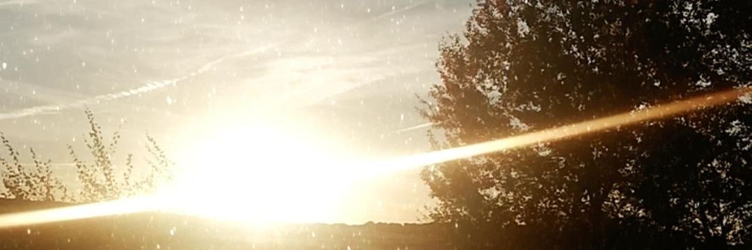 TamaraDOOWAP's profile banner image