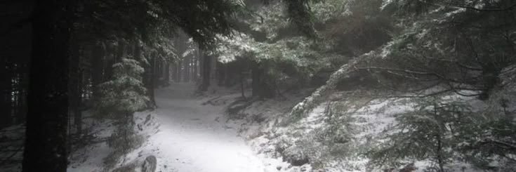 Ghostiel🪽🌙🐀 banner