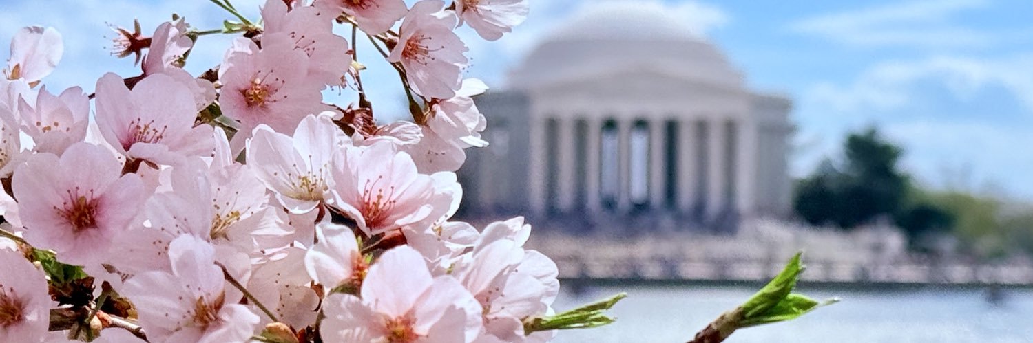 m a r i s a 🇺🇸's banner