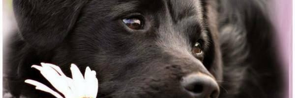 jacklin51's profile banner image