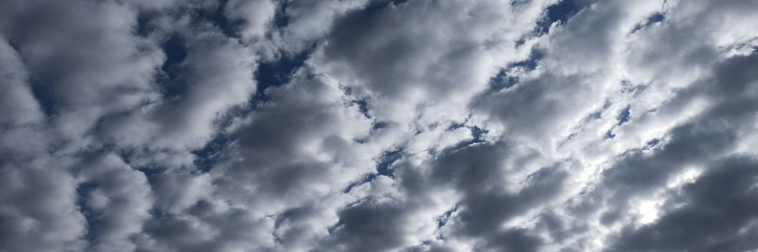 کارآگاه شهر banner