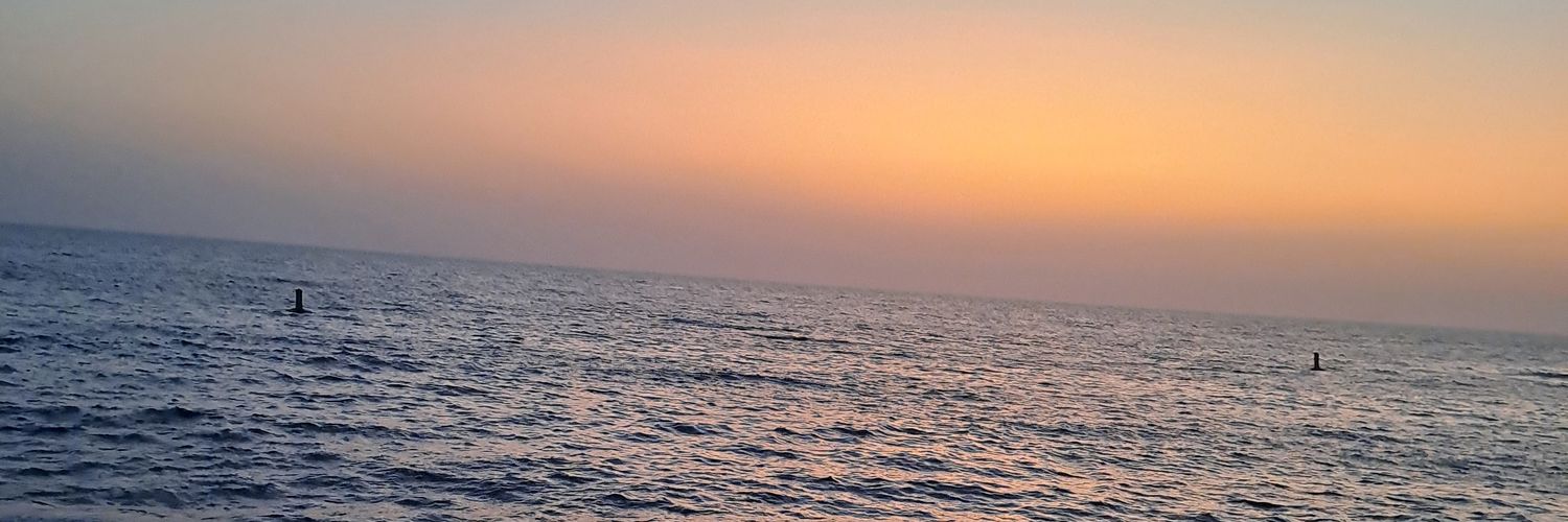 Sahar_005s's profile banner image