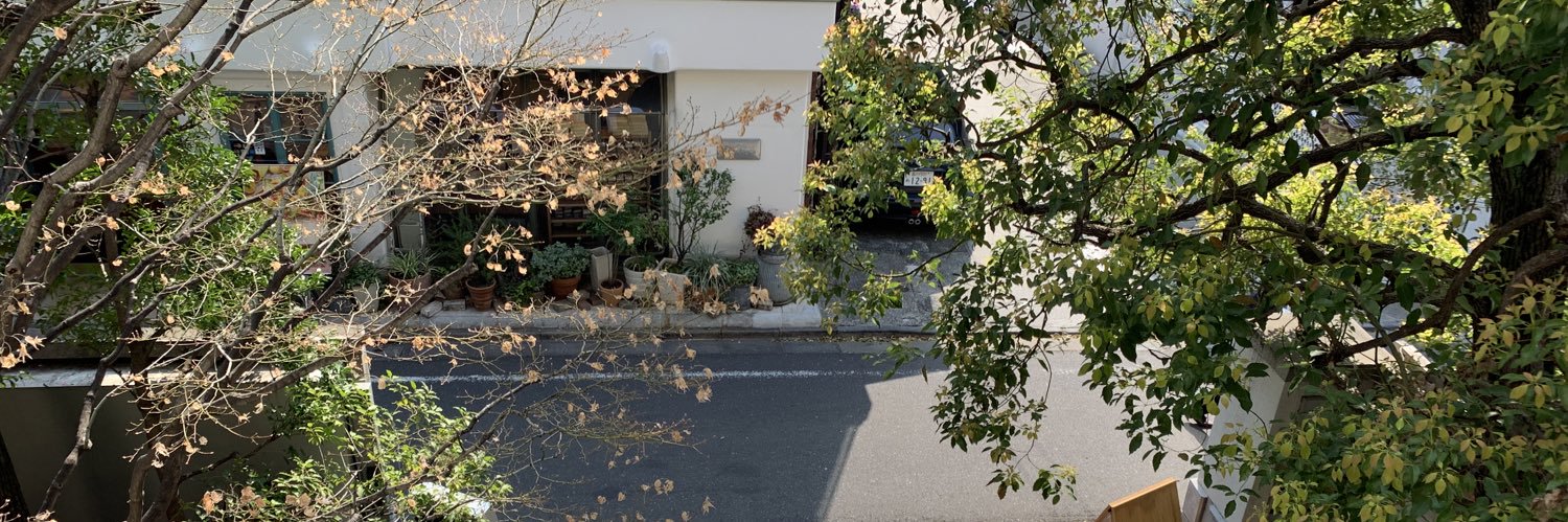 Novak K. Gaezinsky banner