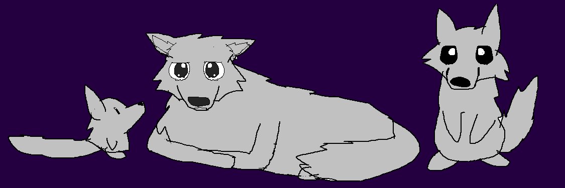 Kitty banner