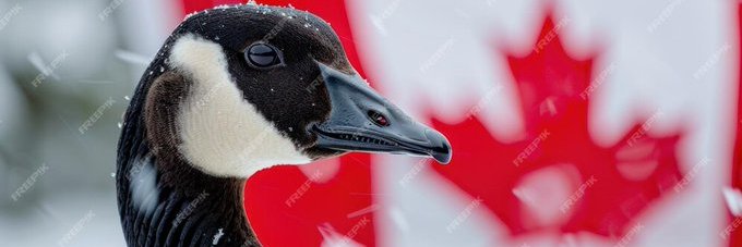 Goose banner