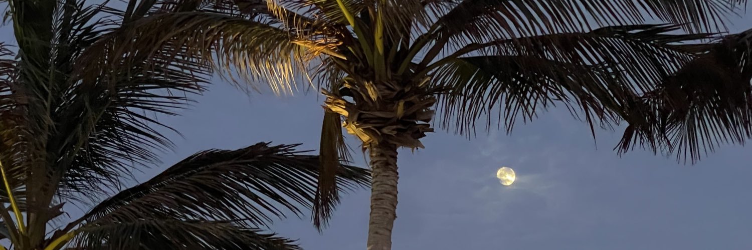 Amani banner