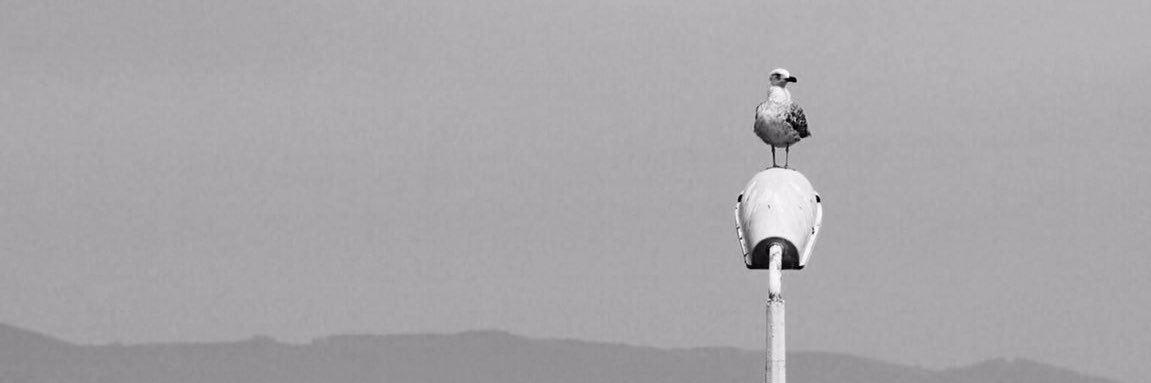 BurakBoyer's profile banner image