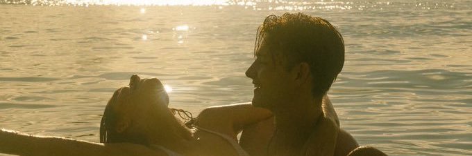 🦢 banner
