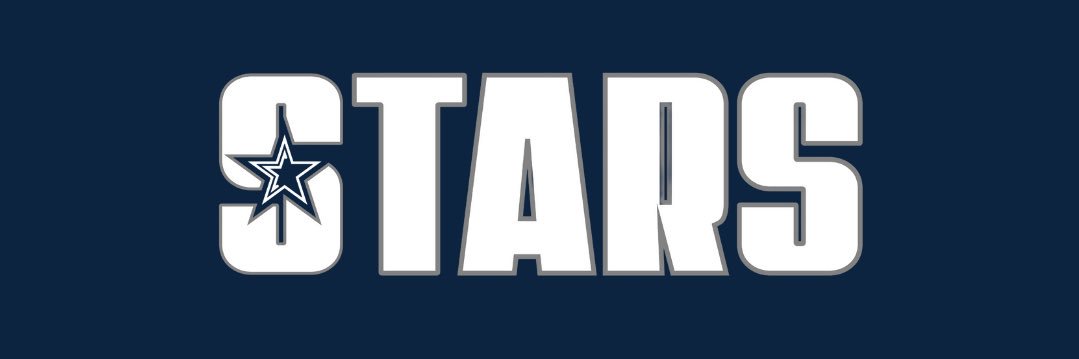 FL Stars Fastpitch Davis banner