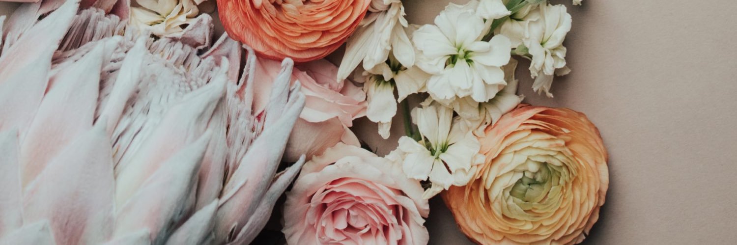 chloe_penner's profile banner image