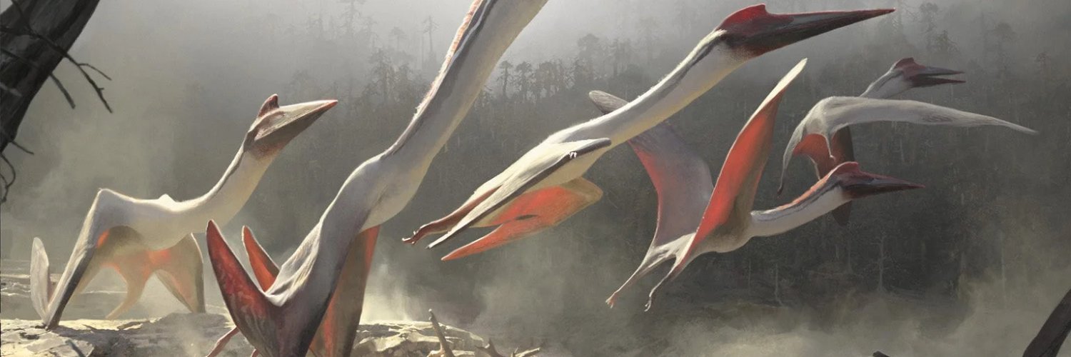 Vaiserferrarhak's profile banner image