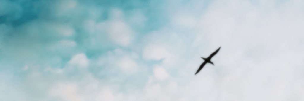 _Jhonywillian's profile banner image