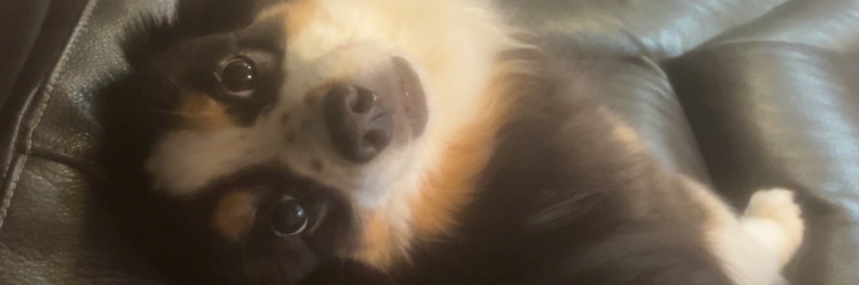 ashIeywilliams's profile banner image