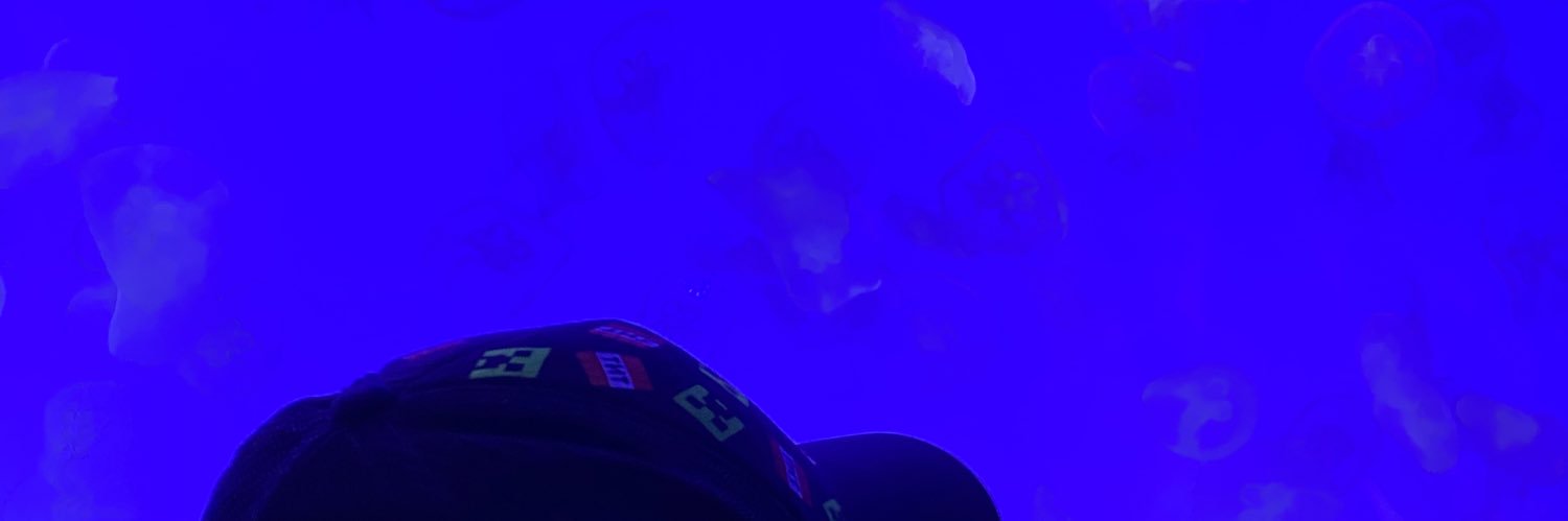 chappysunsun's profile banner image