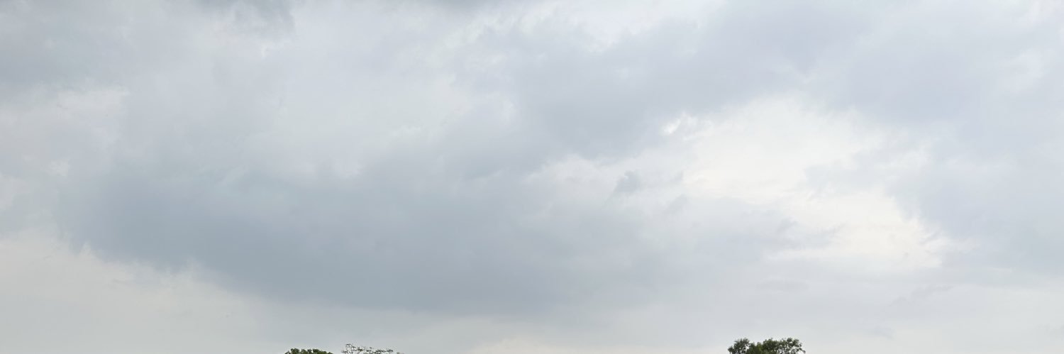 Olga lock banner
