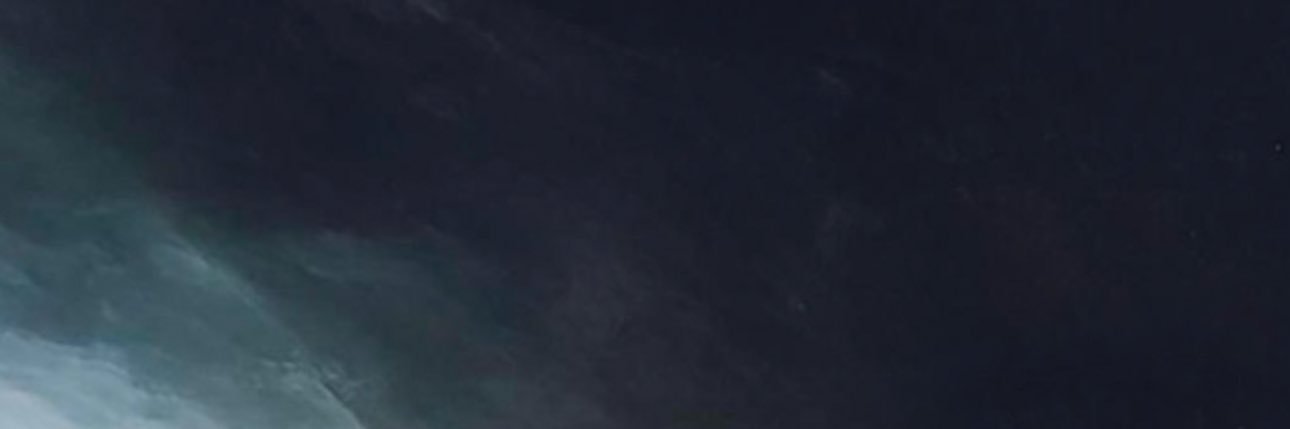 ديلو🪼 banner