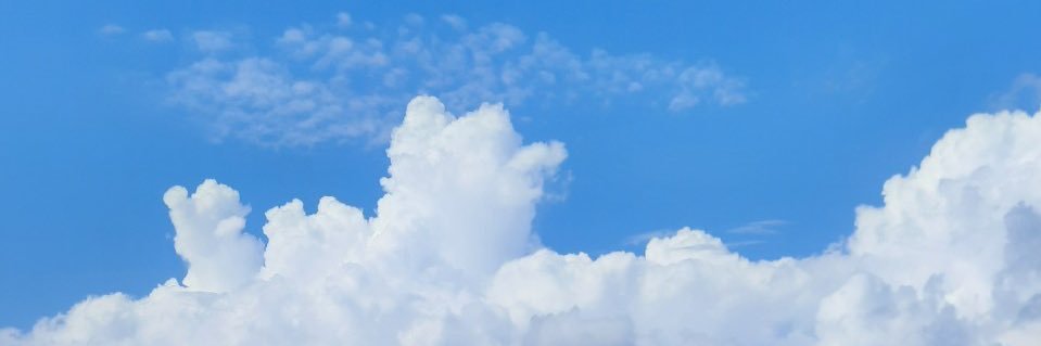 ohj 💕🌻 banner