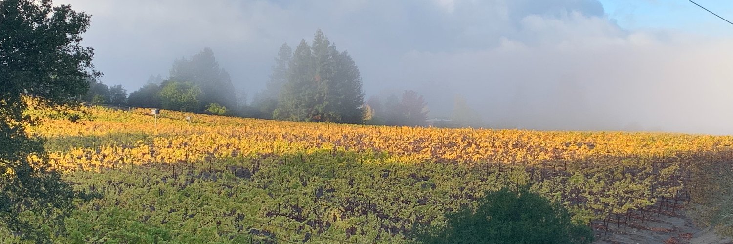 WeSoCoTimes's profile banner image
