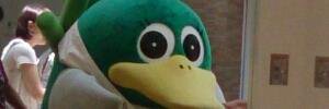 anco banner