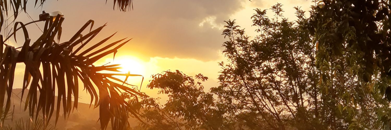Priscila_PHS's profile banner image