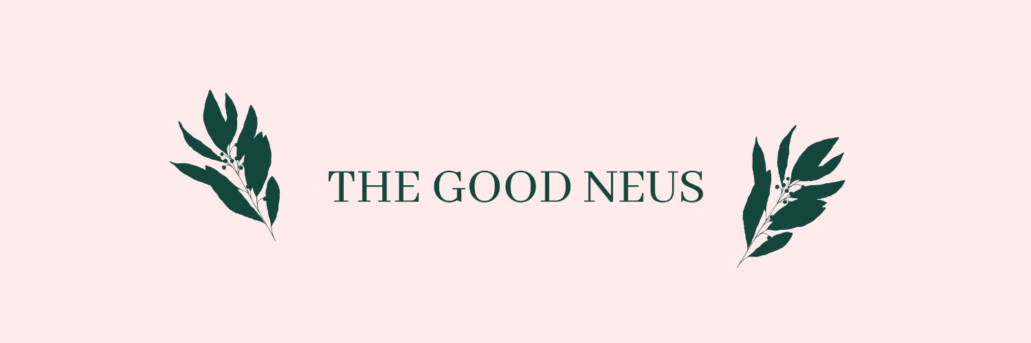 NeusCarmesi's profile banner image