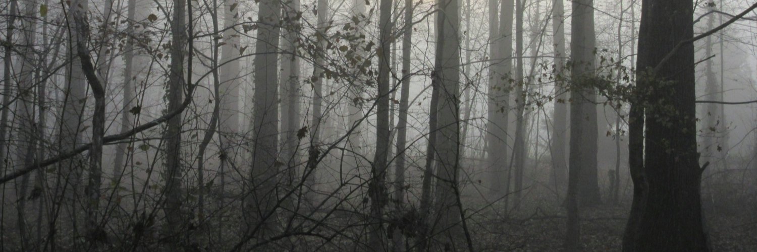 Francis E. Dec fan club 🎄 banner