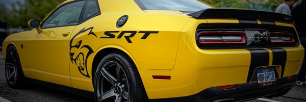 GatorTimSports Profile Banner