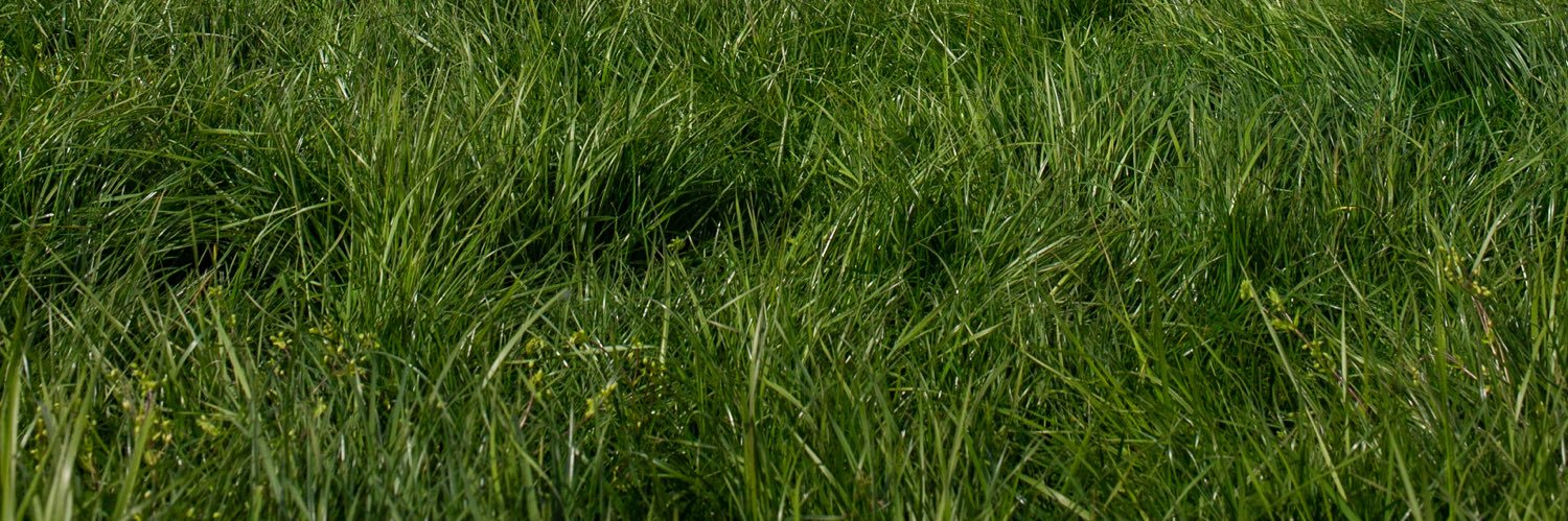edouardchedru's profile banner image