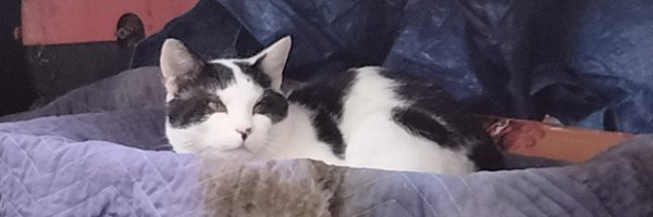 Rhoffman94 Profile Banner