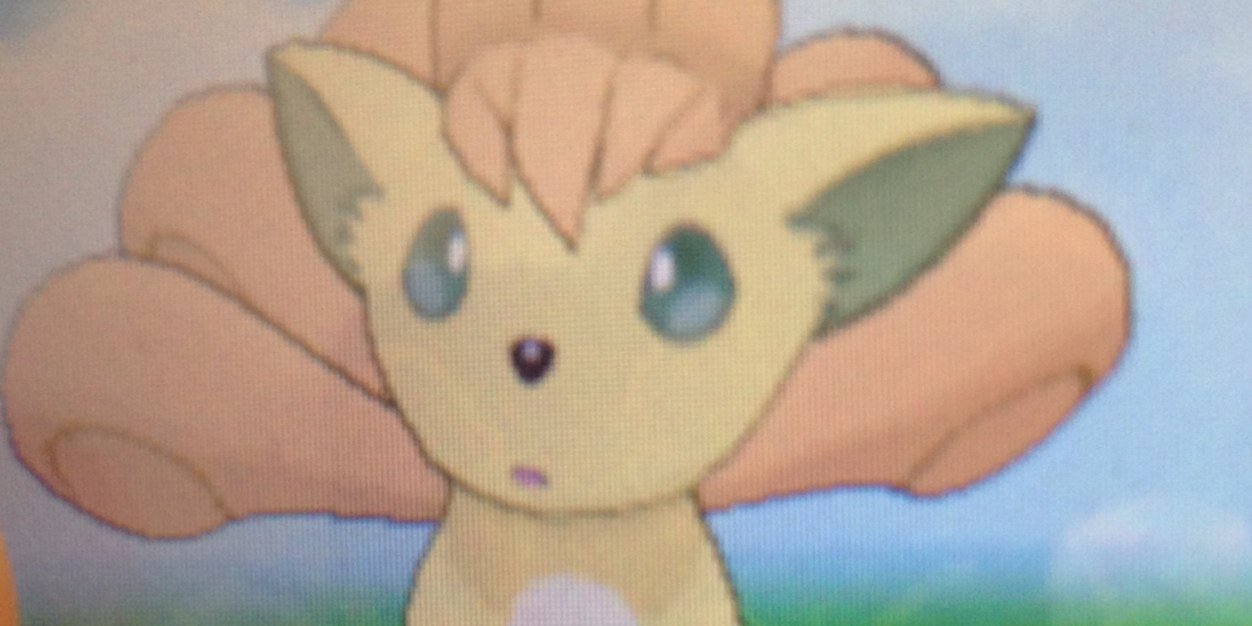 pocoapocoko's profile banner image
