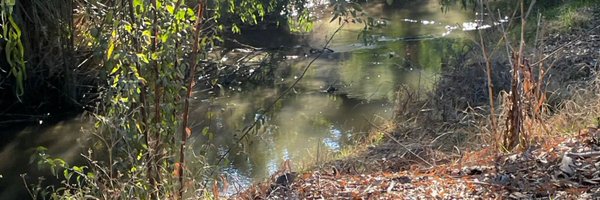 Stuffy_Wuffy Profile Banner