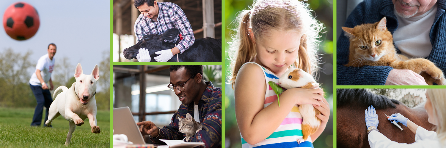 AnimalsHealthy banner