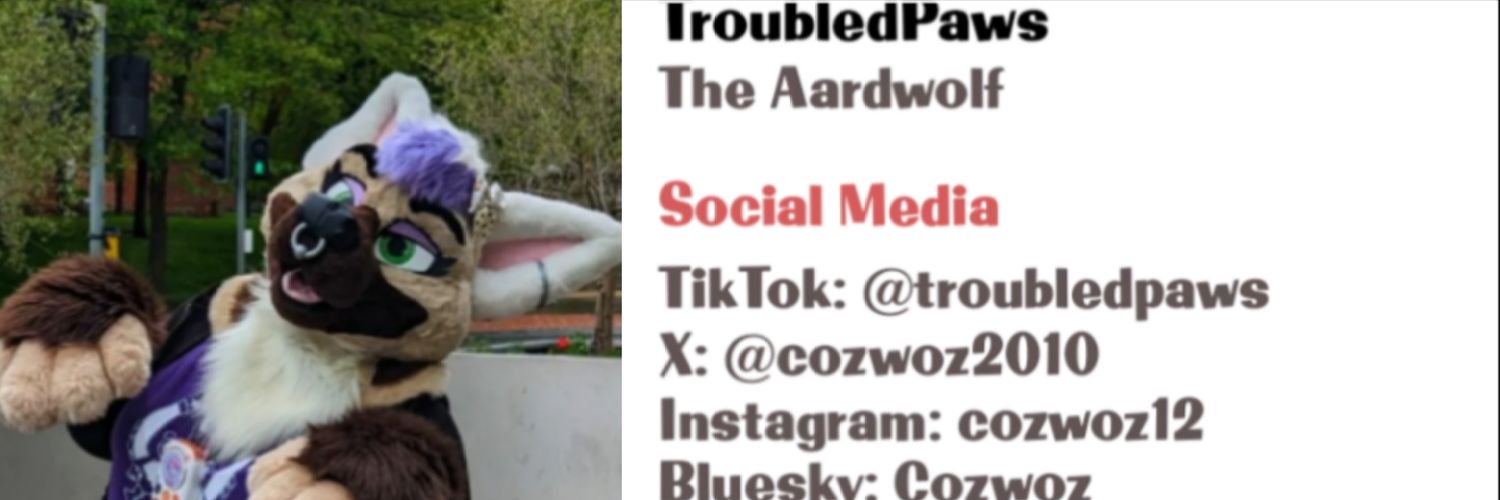 Coz (troubled paws) Profile Banner