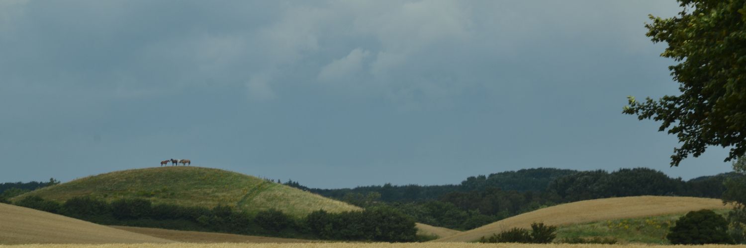 Rory Post banner