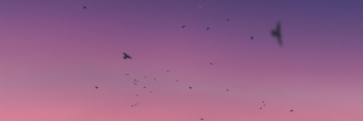FxrizAzmin's profile banner image