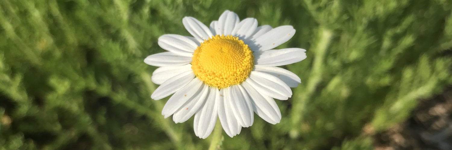 9139712's profile banner image