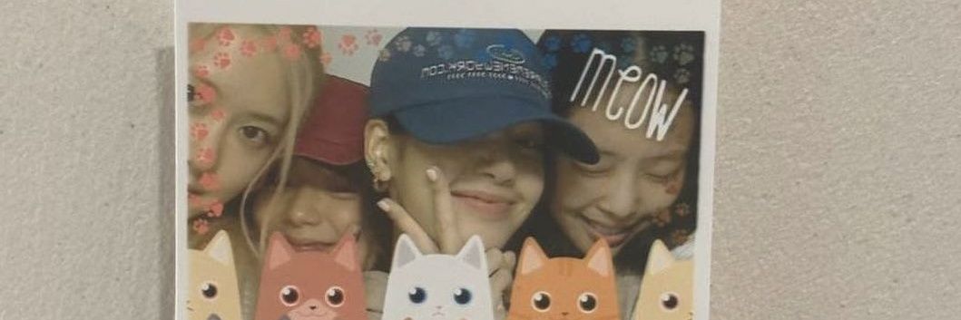 monkey d jojo banner