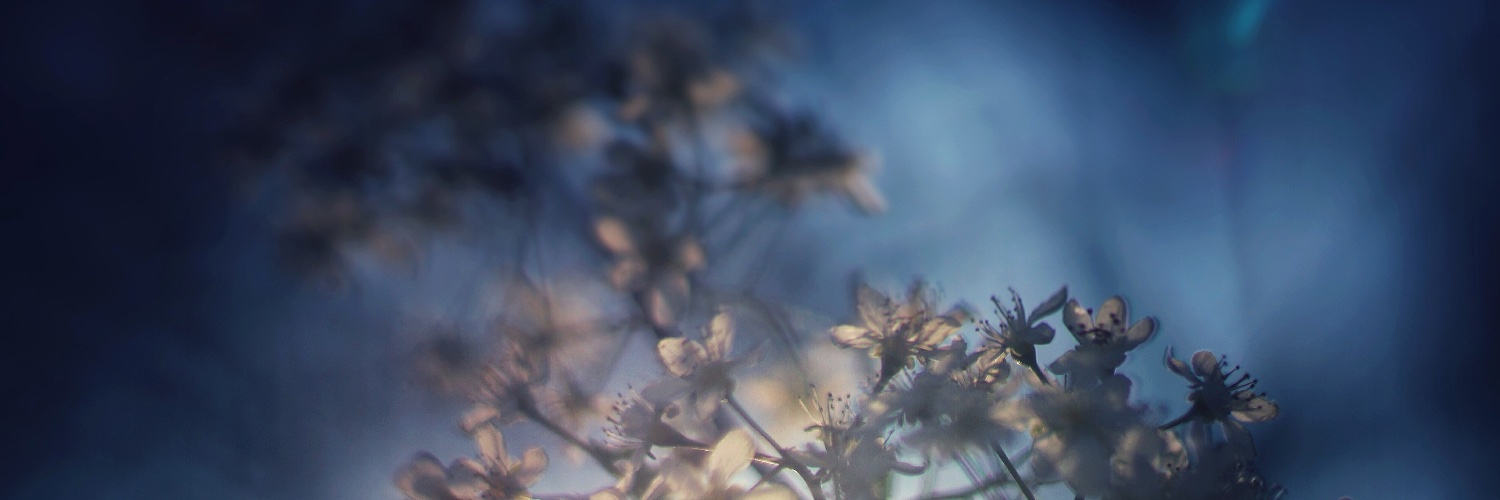 mike. 🌍☄️ banner